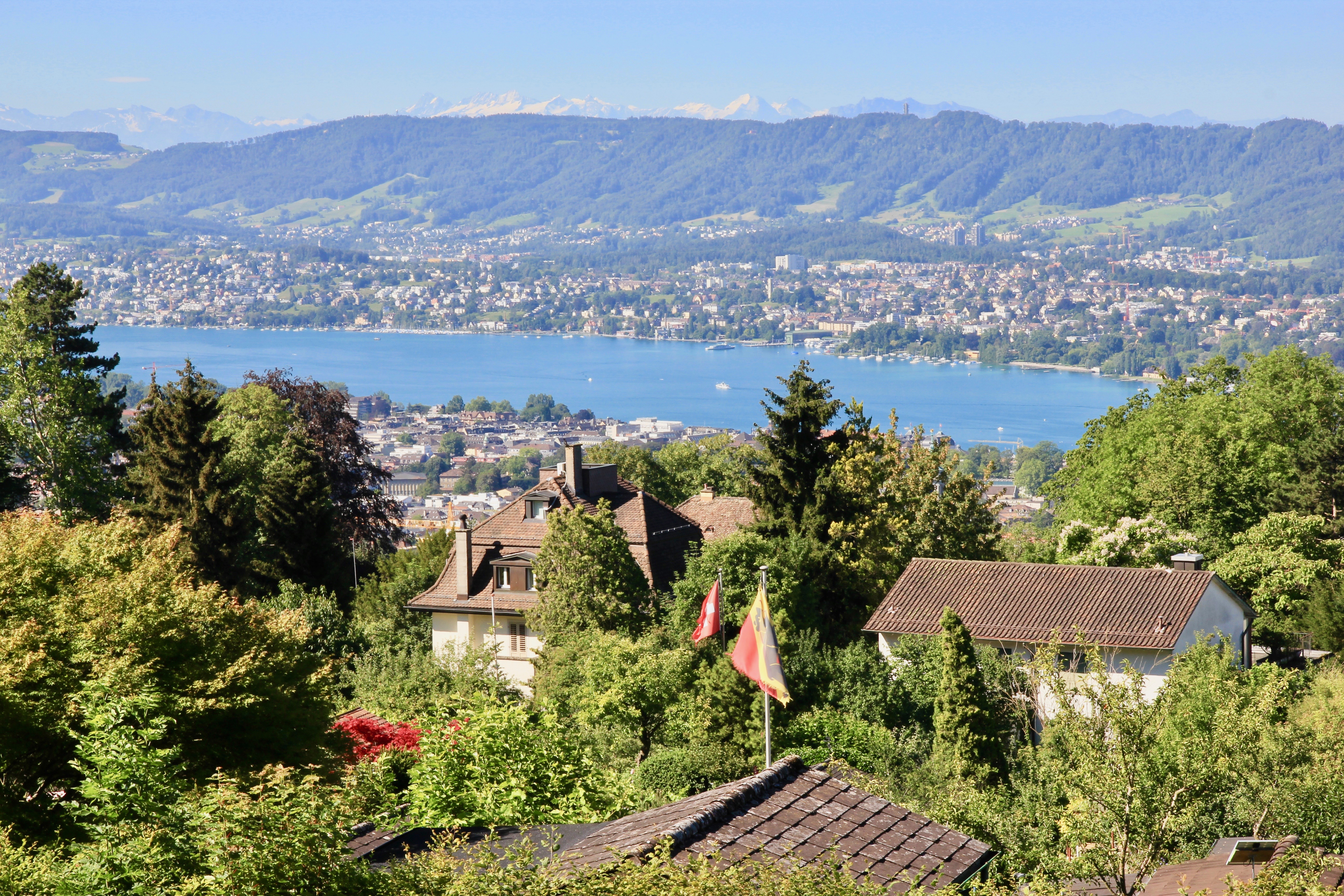 Zürichberg, Zurigo