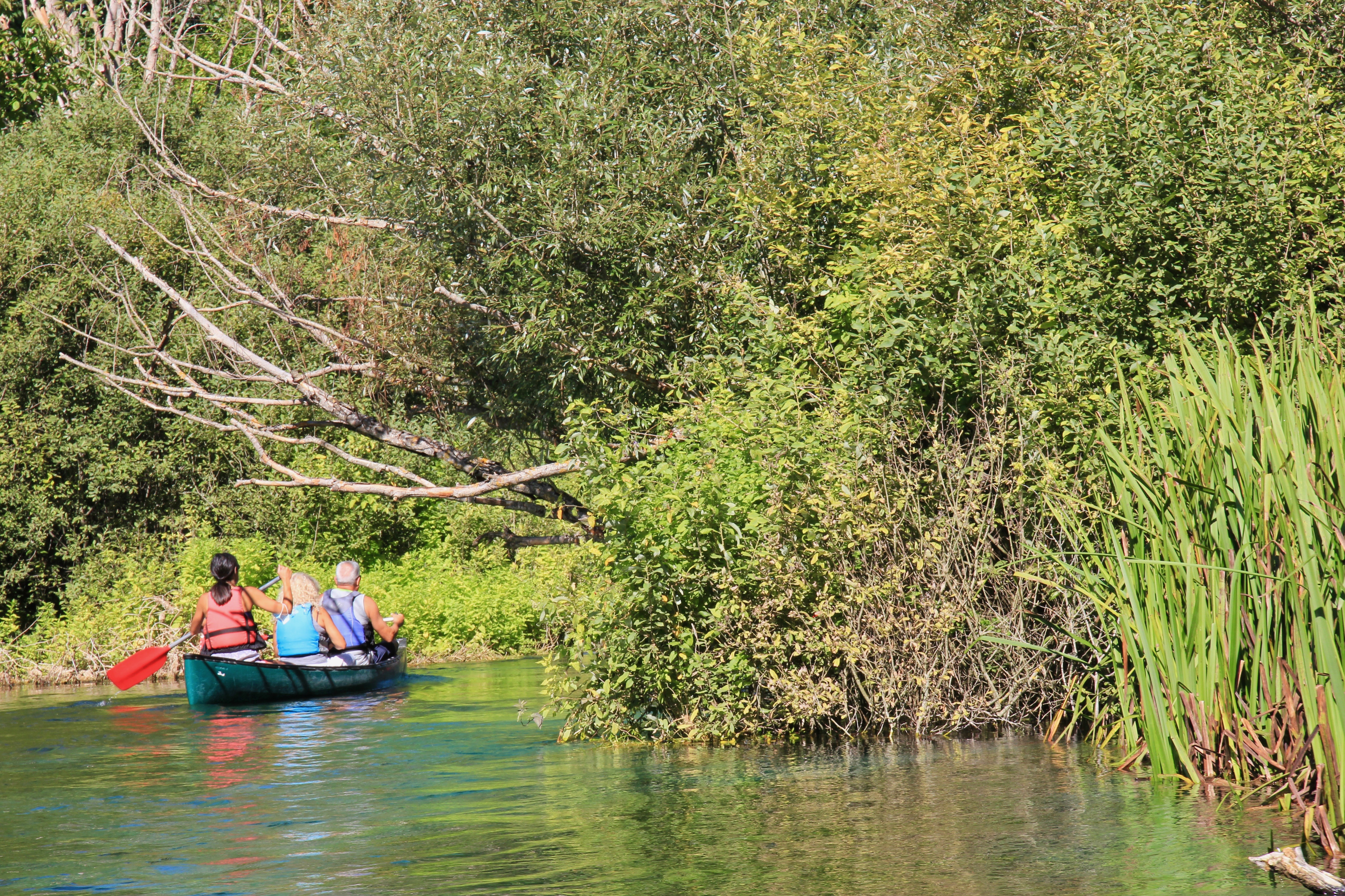 Il Bosso - escursione in canoa