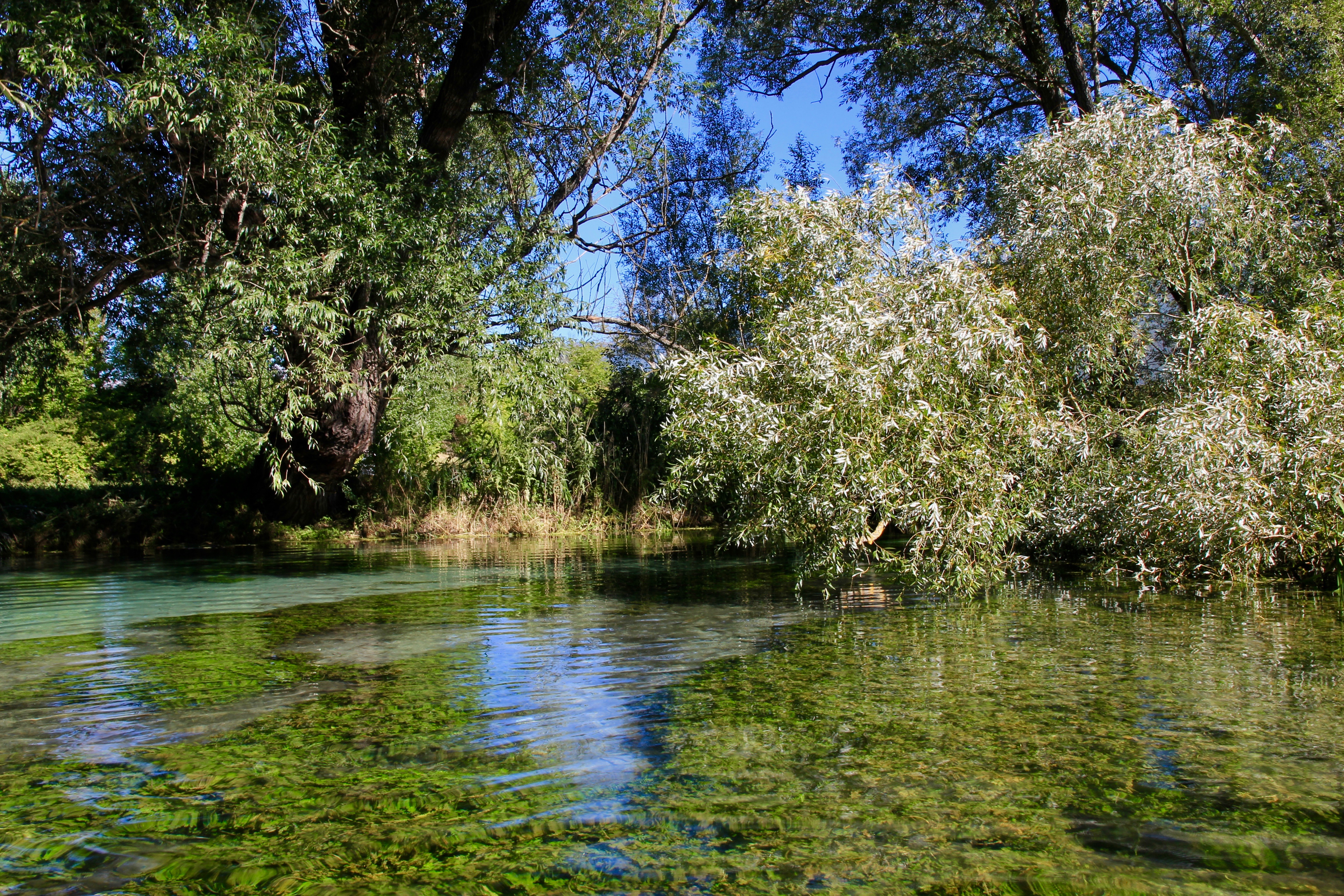 In canoa sul fiume Tirino