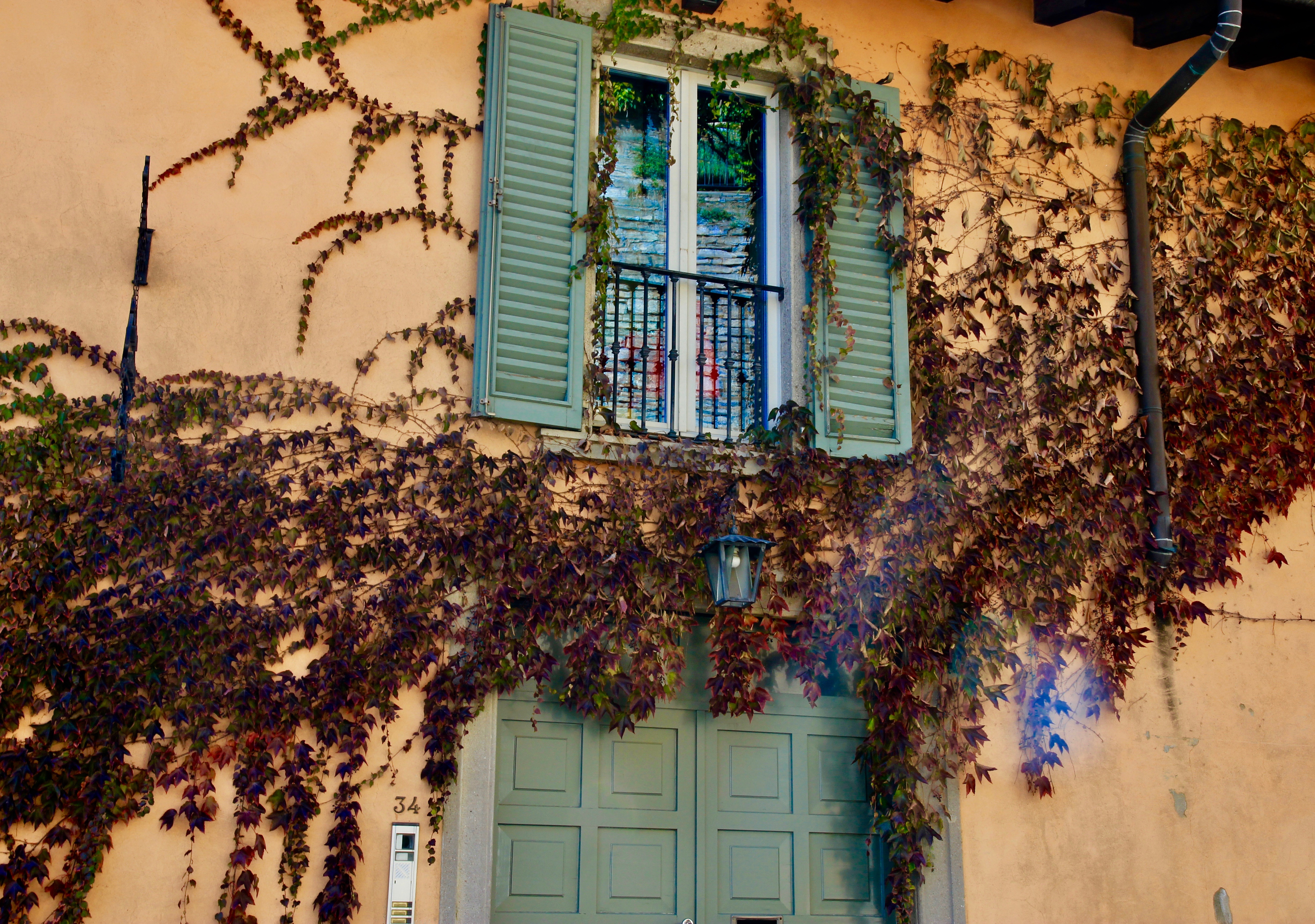 Bergamo foliage