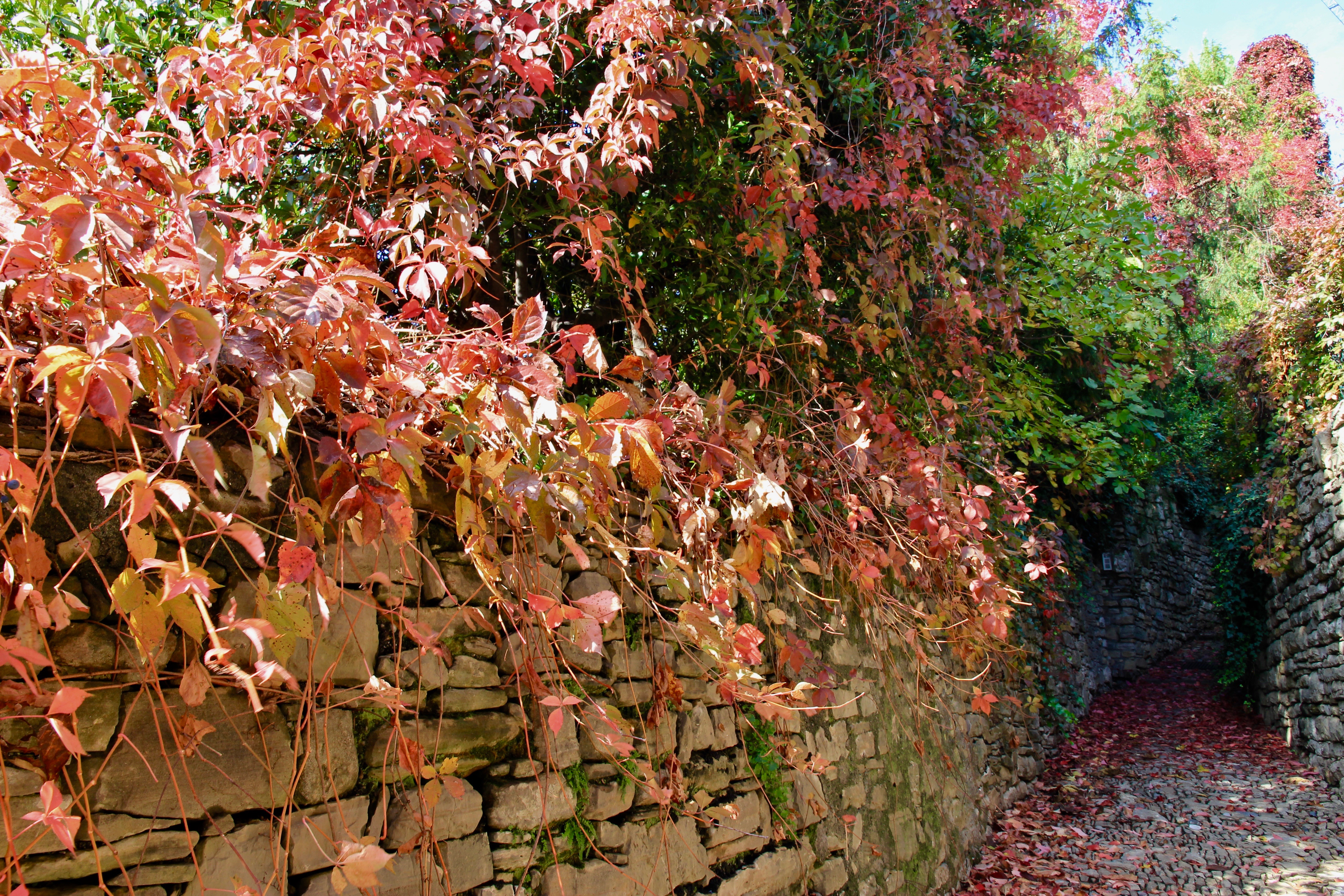 Autunno in Lombardia