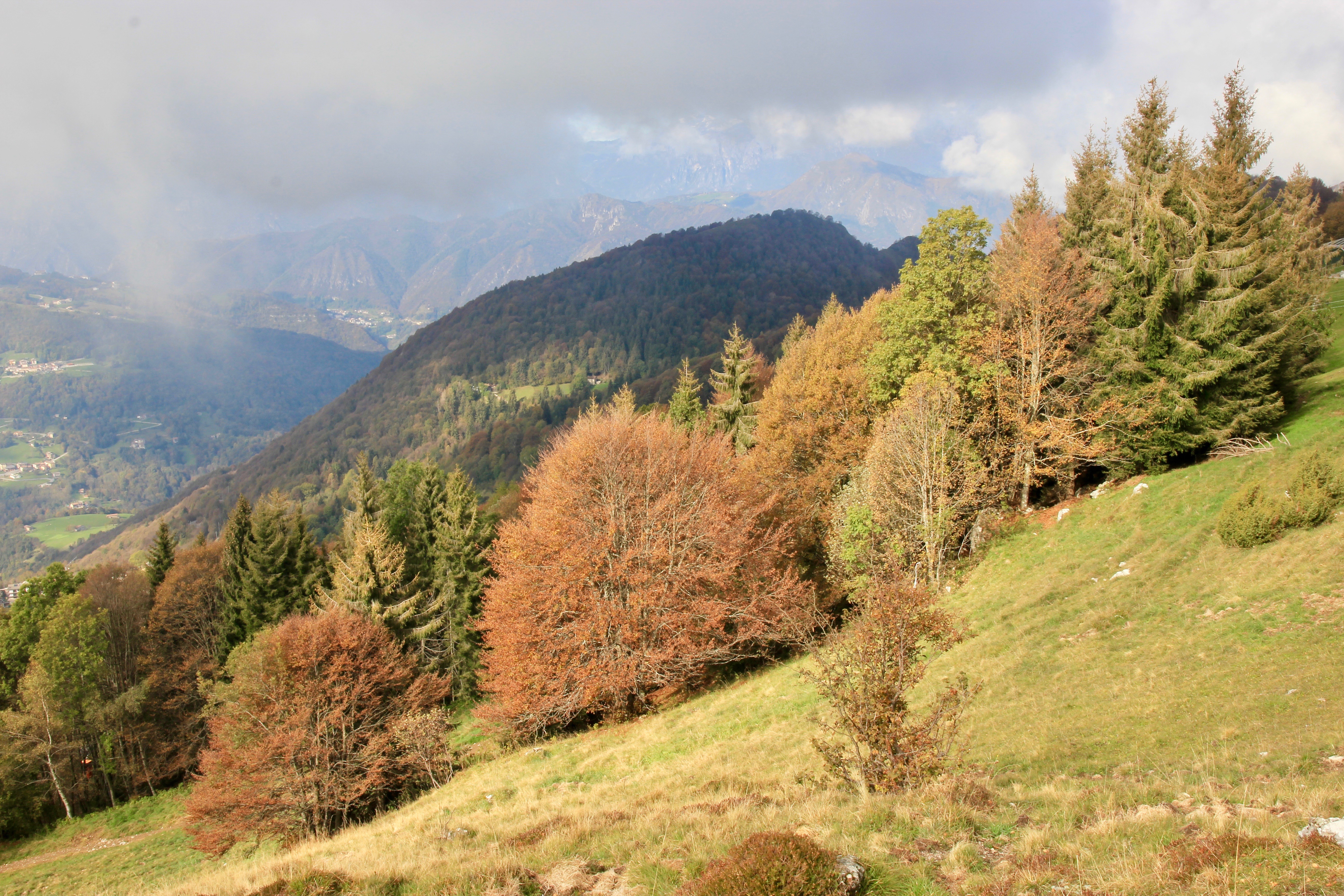 Monte Poieto in autunno