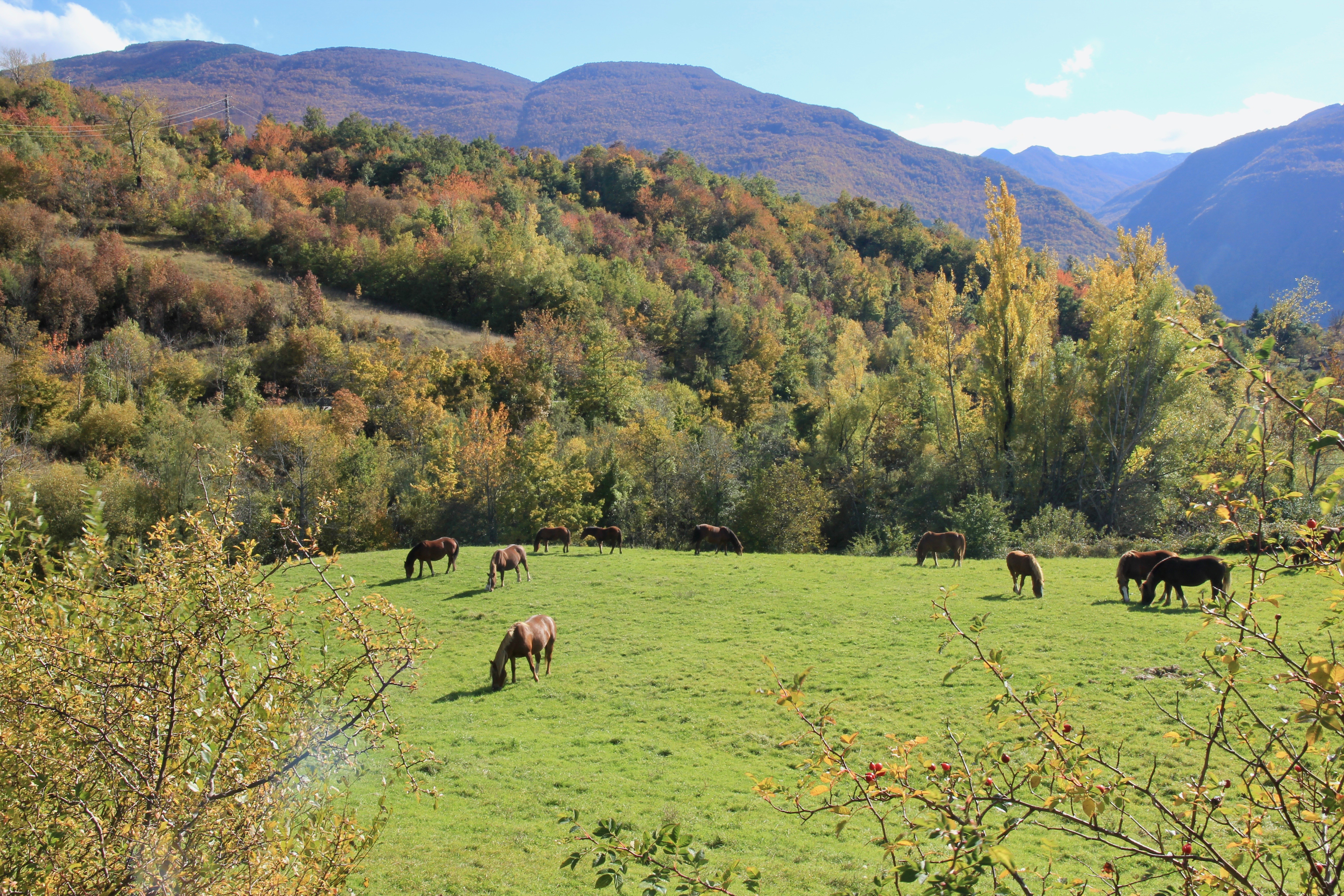 Autunno in Emilia Romagna