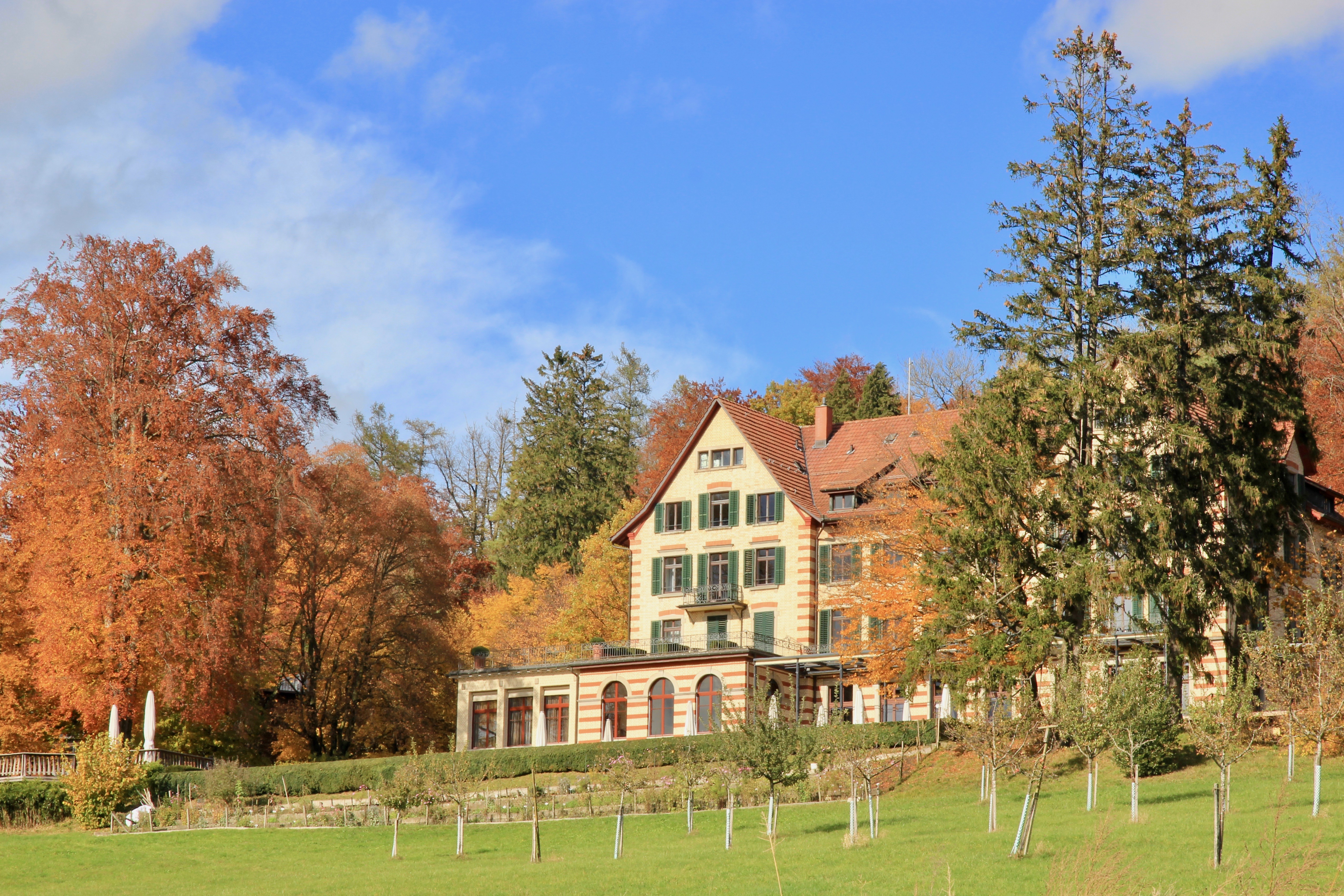 Zurigo in autunno