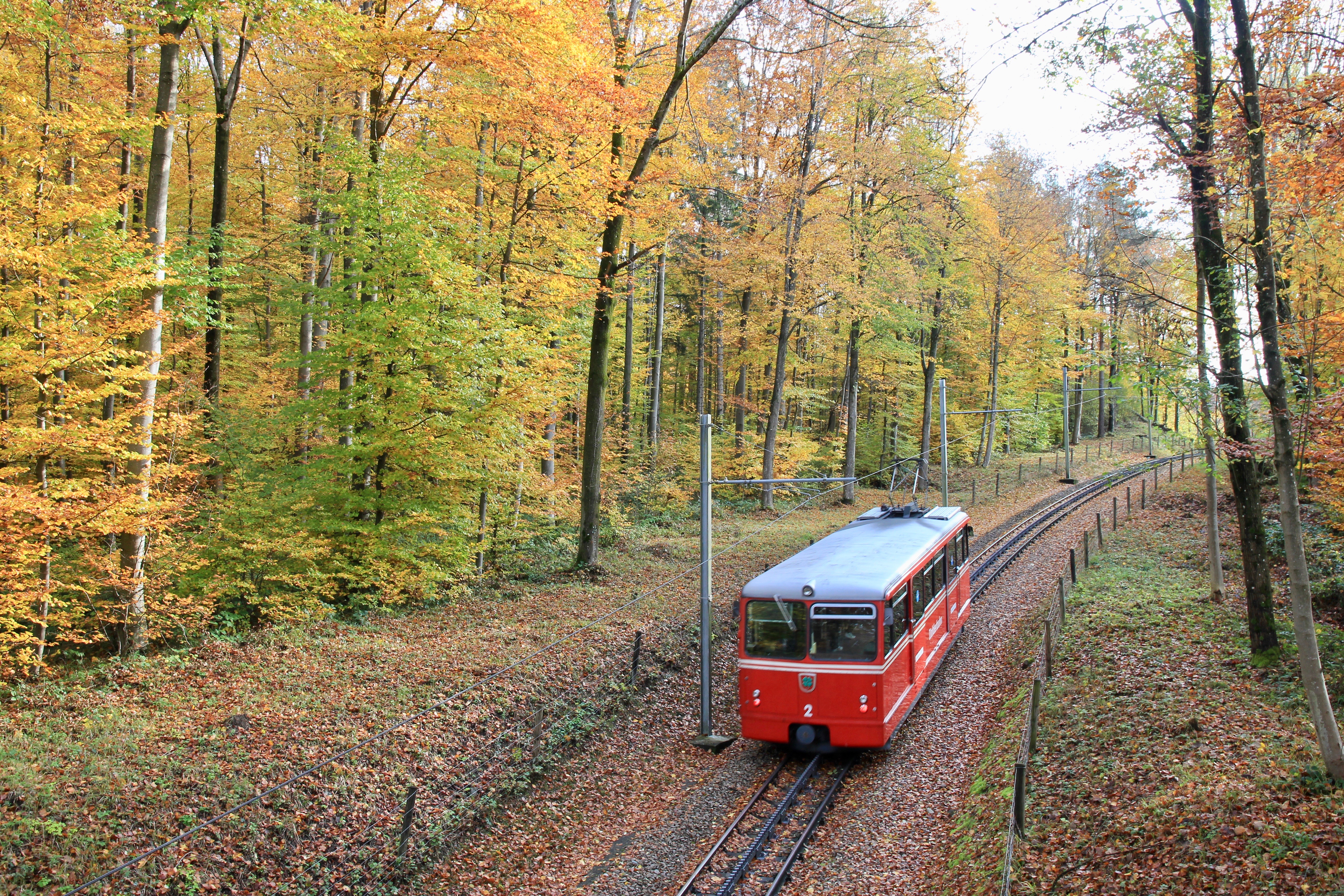 Zurigo in autunno