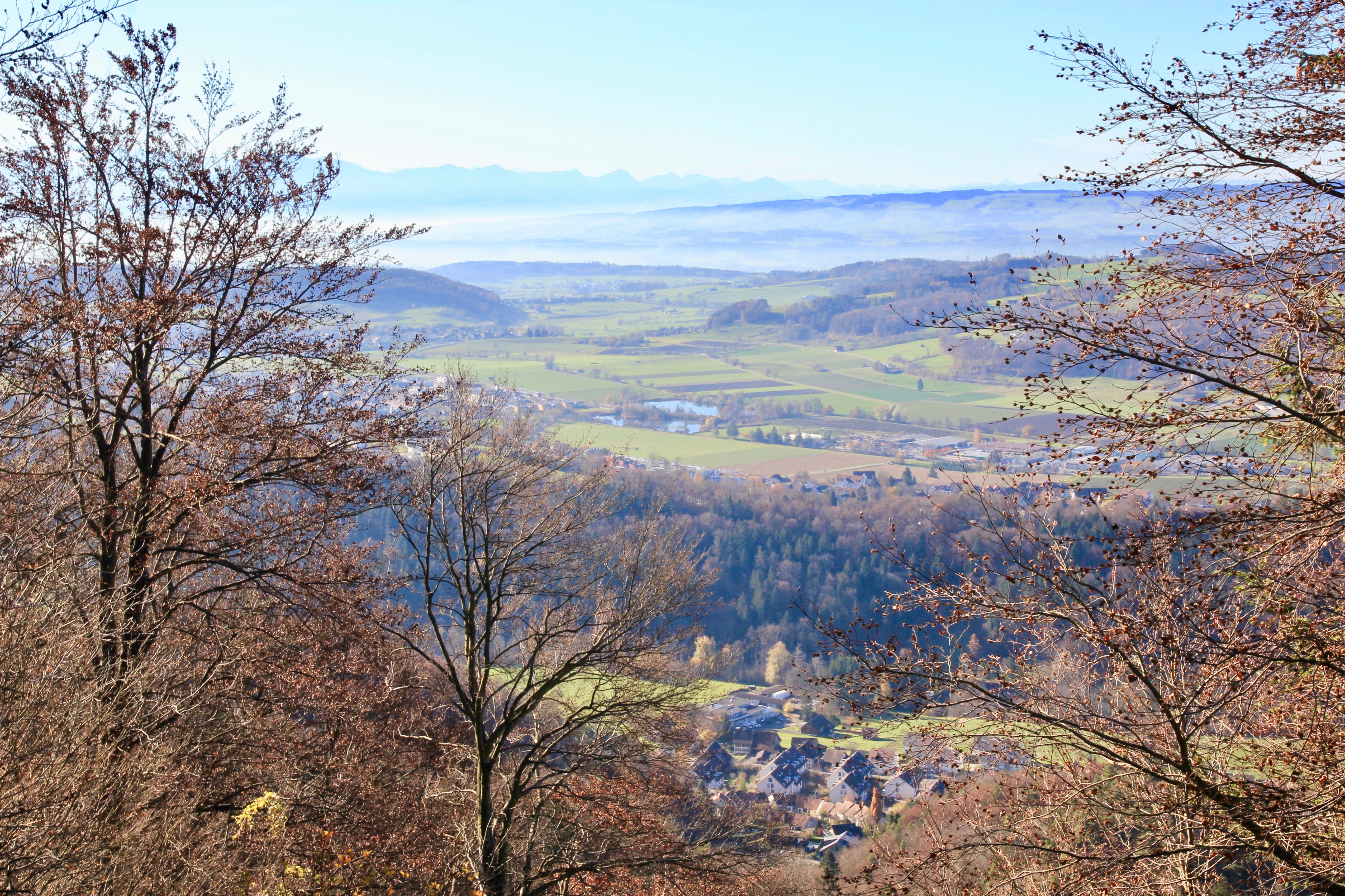 Uetliberg, Zurigo