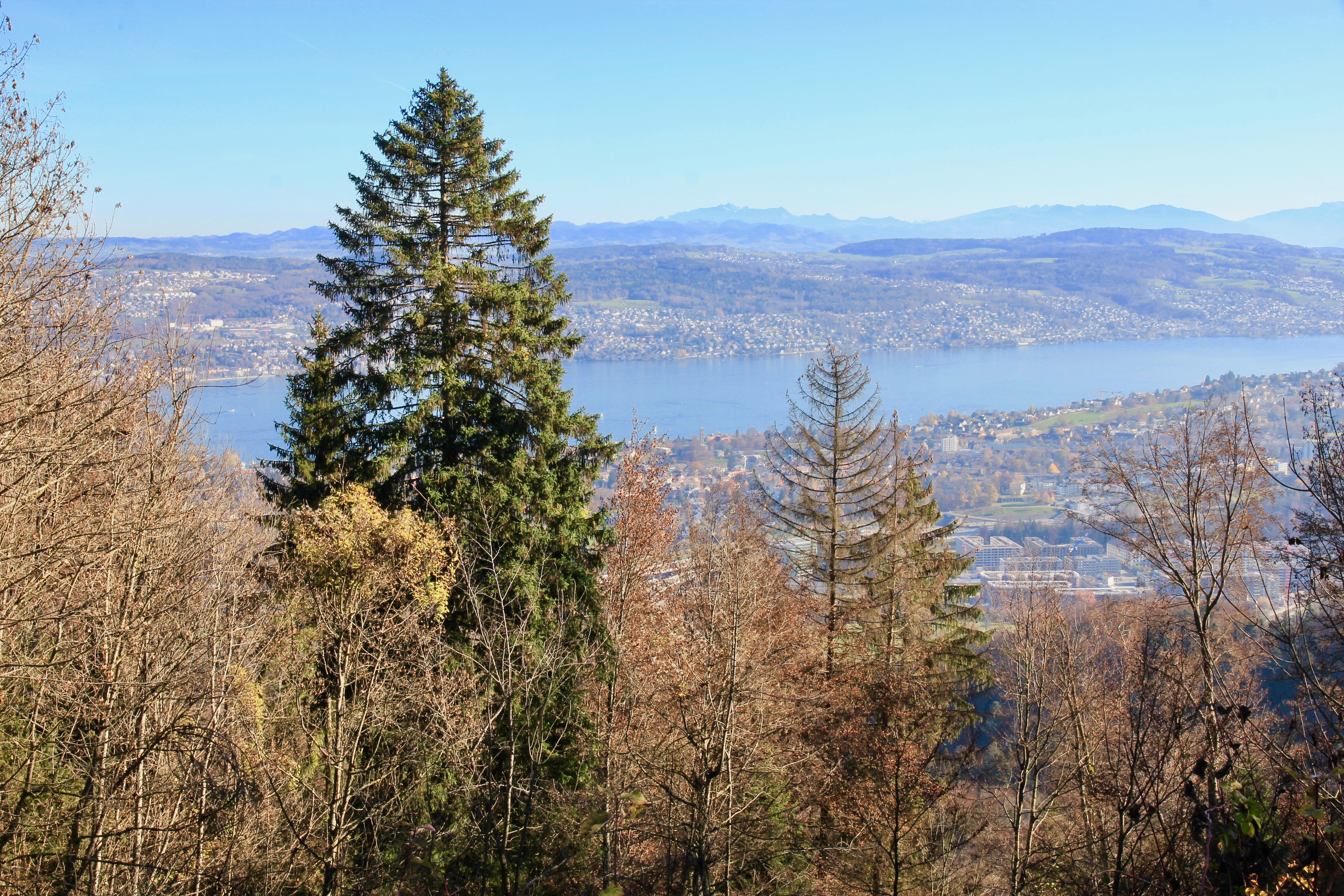 La via dei pianeti, Uetliberg