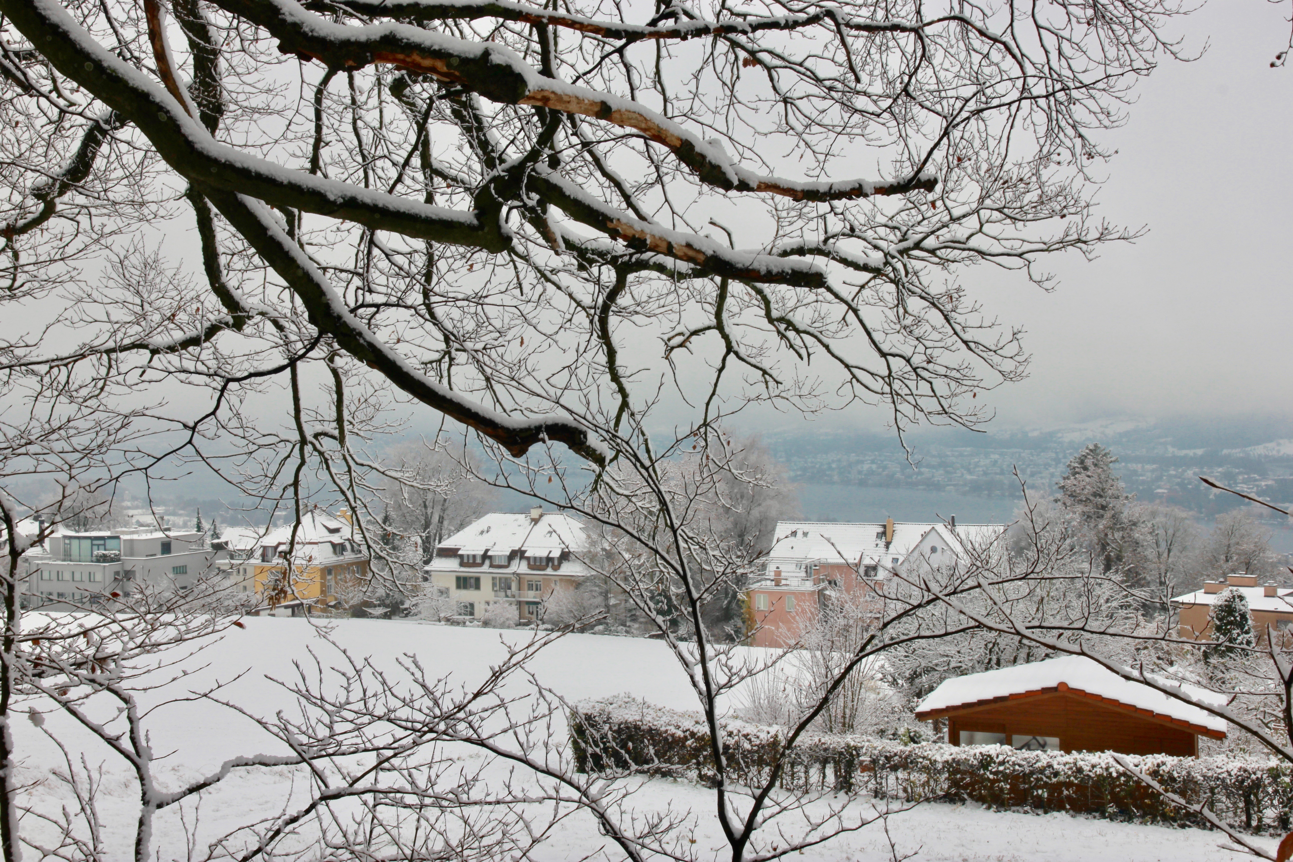 Inverno a Zurigo