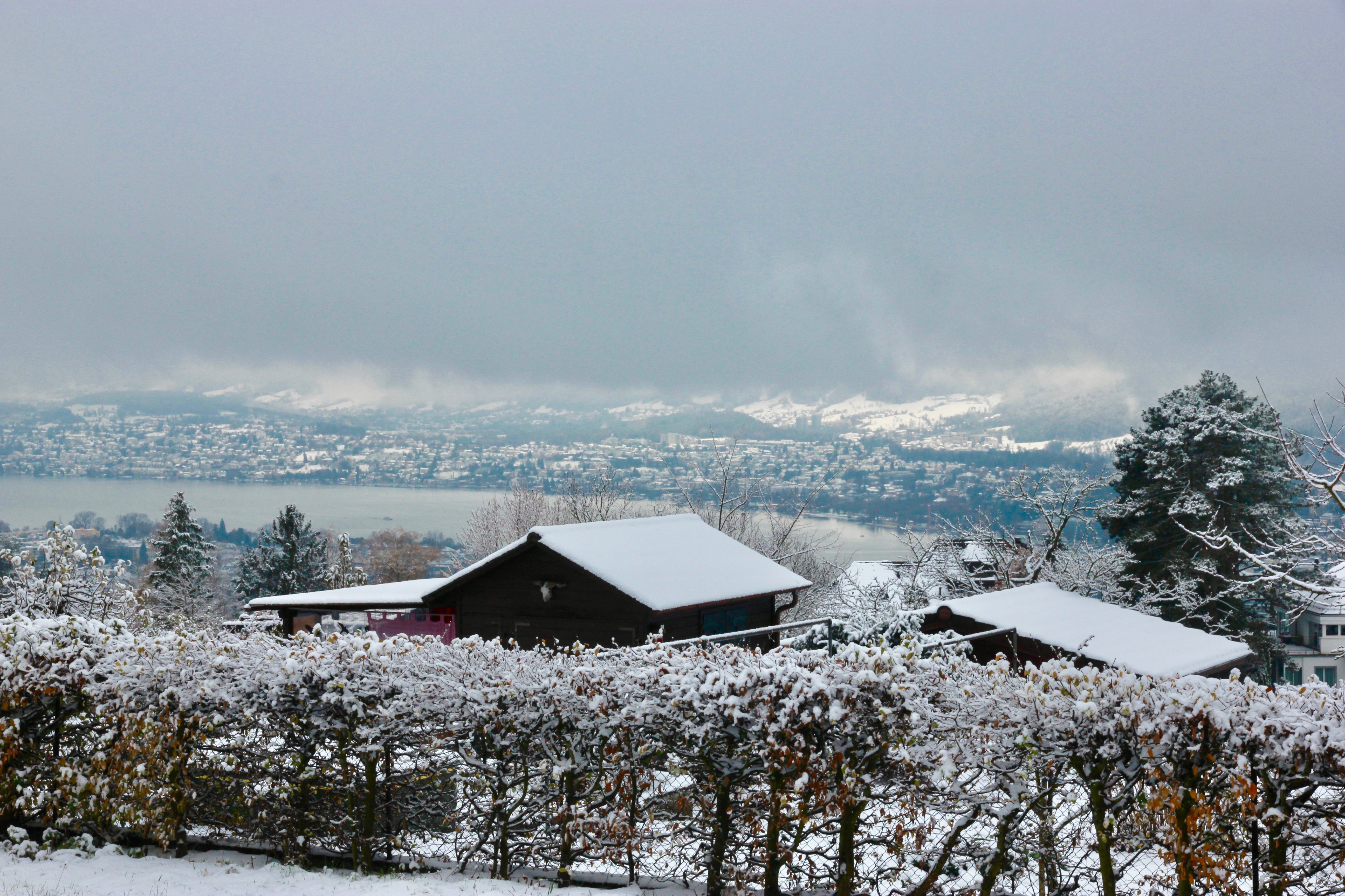 Inverno a Zurigo