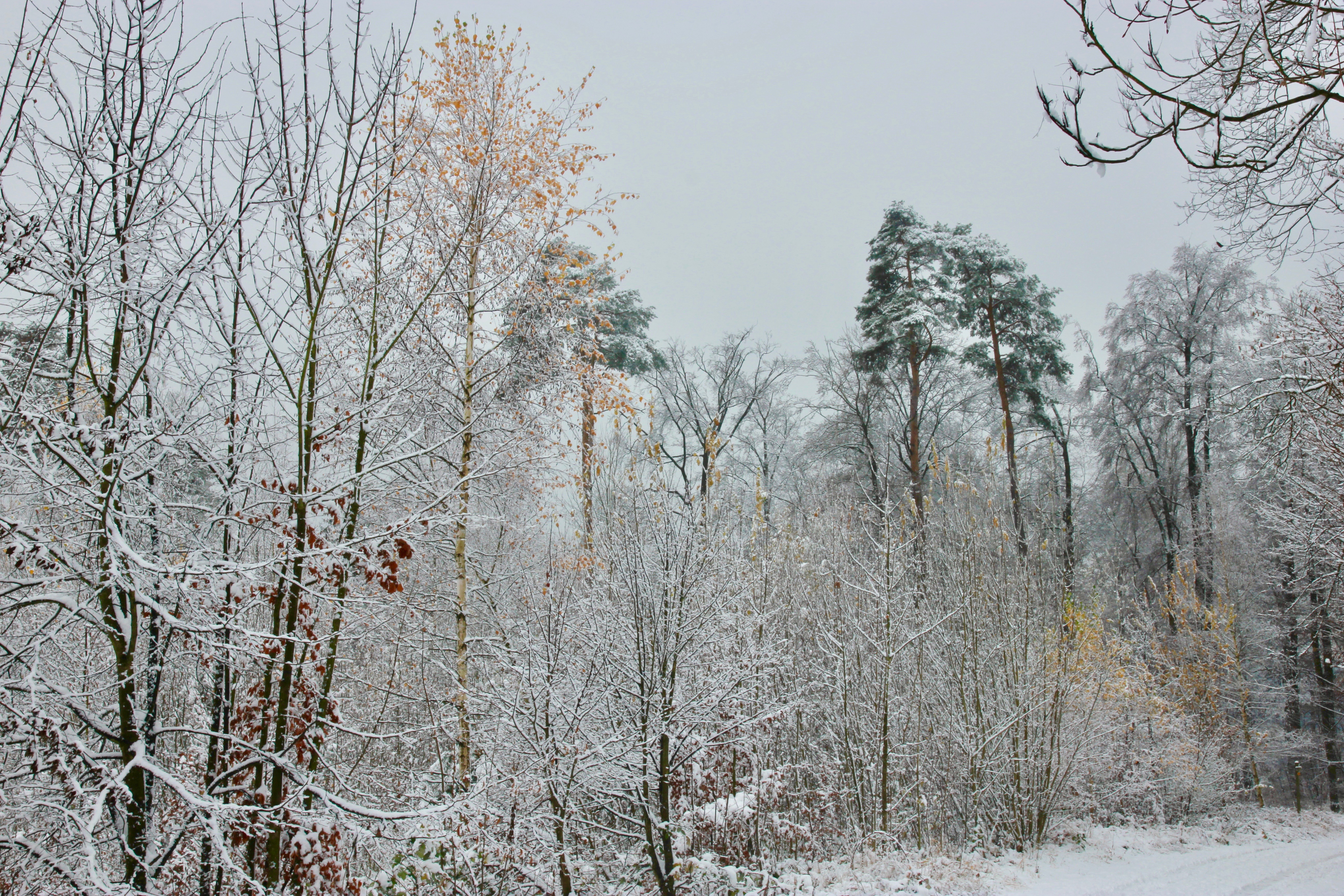 Inverno in Svizzera