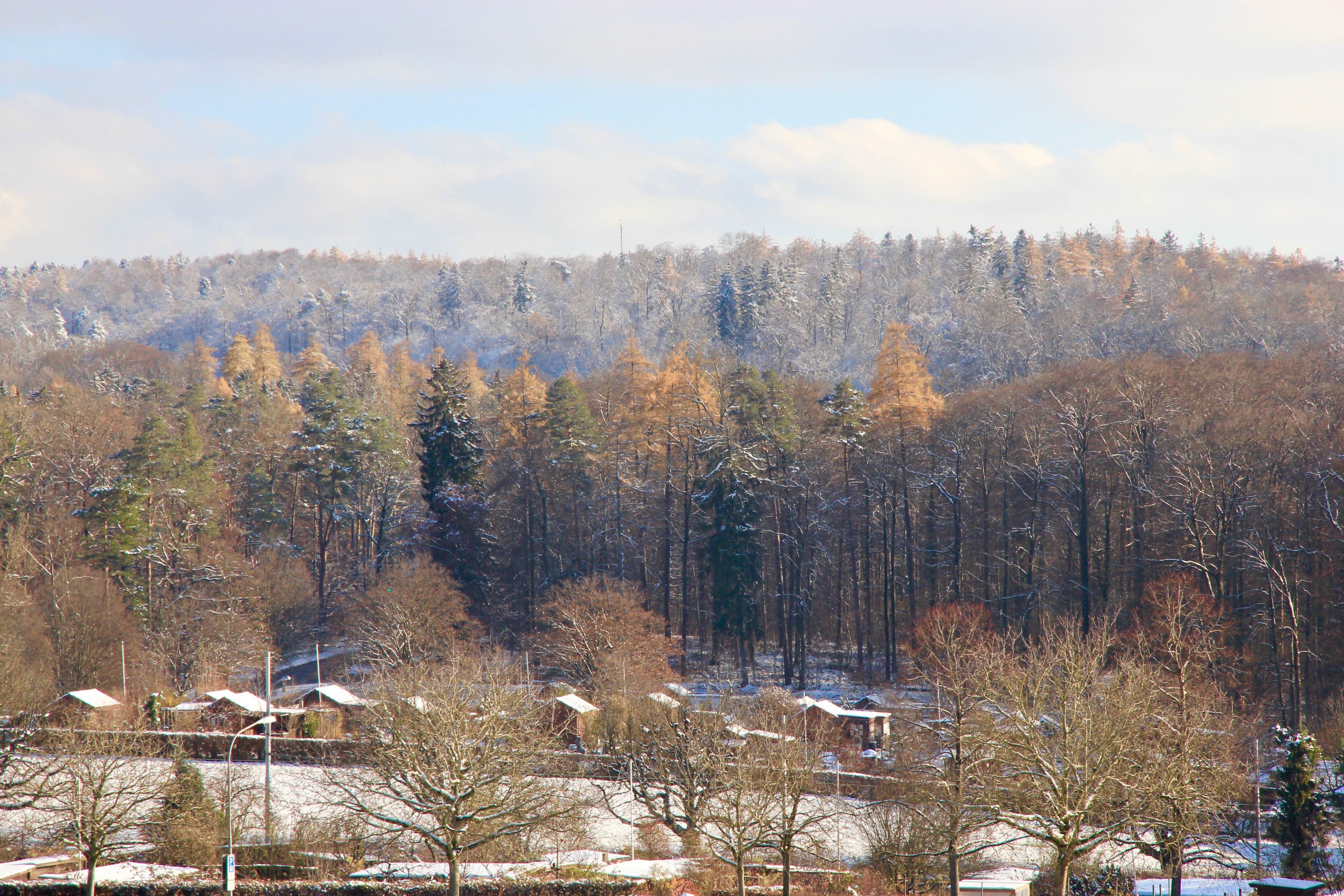 Zurigo in inverno