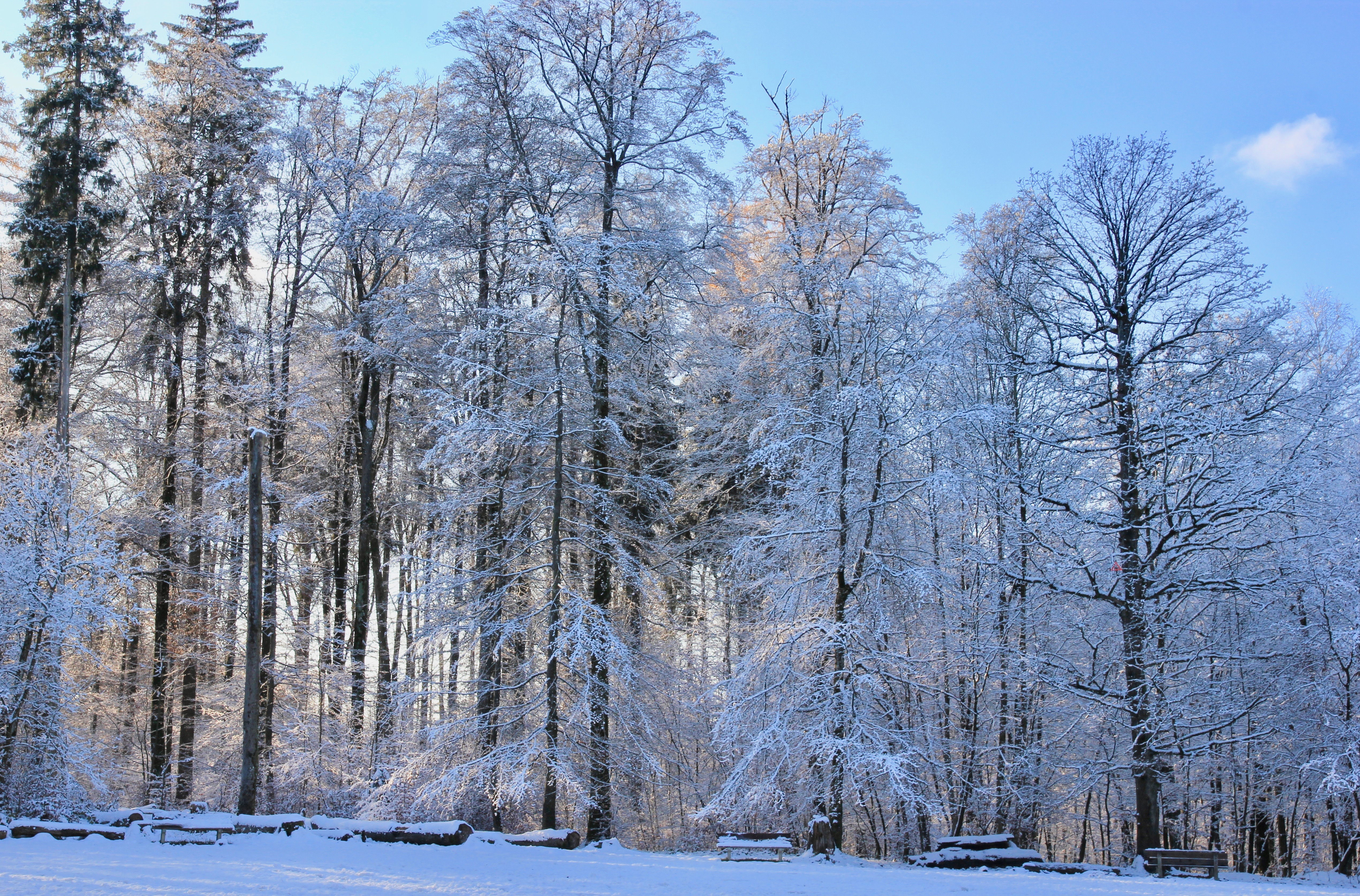 Zurigo in inverno