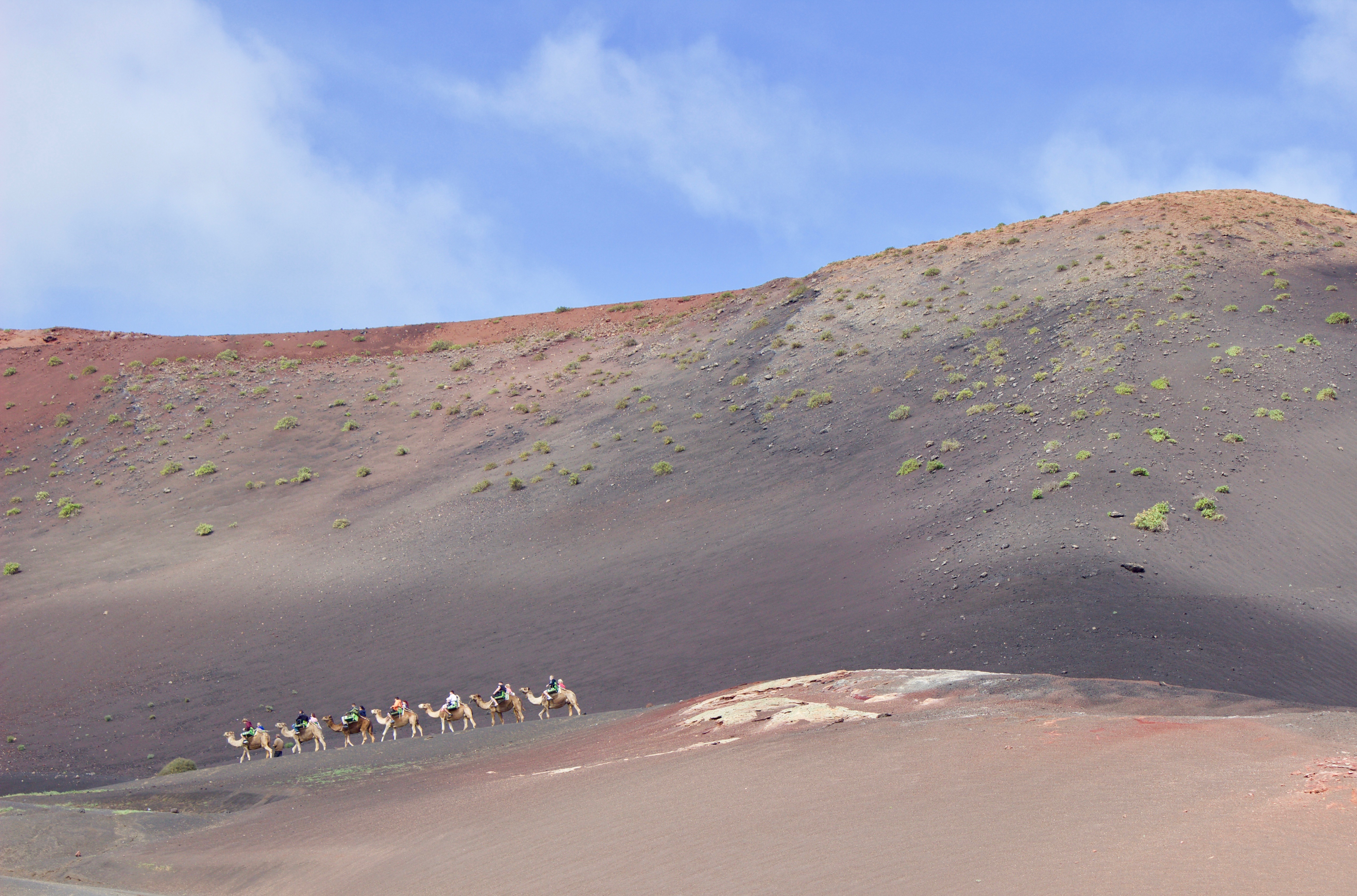 Timanfaya in cammello