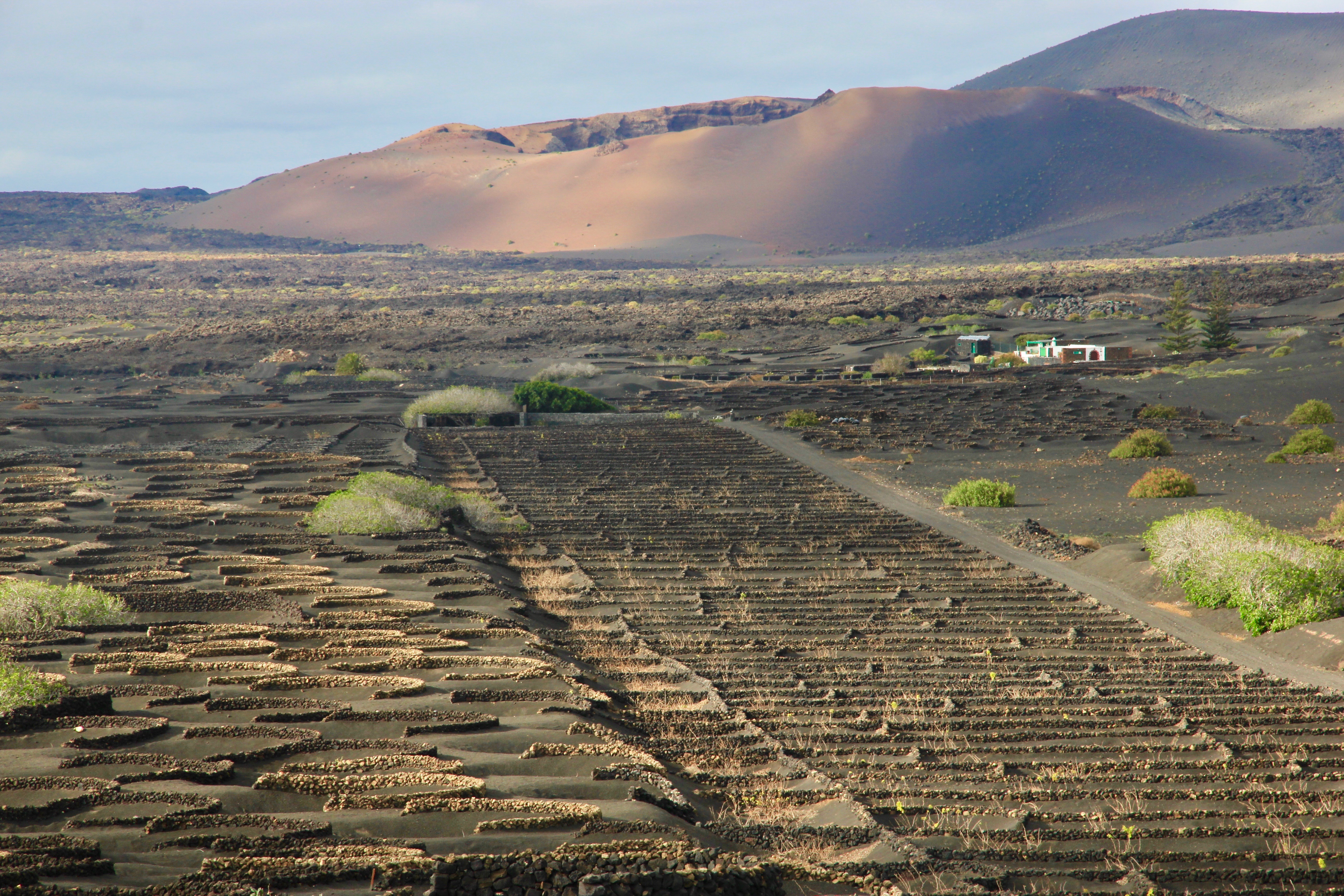 Cosa vedere a Lanzarote