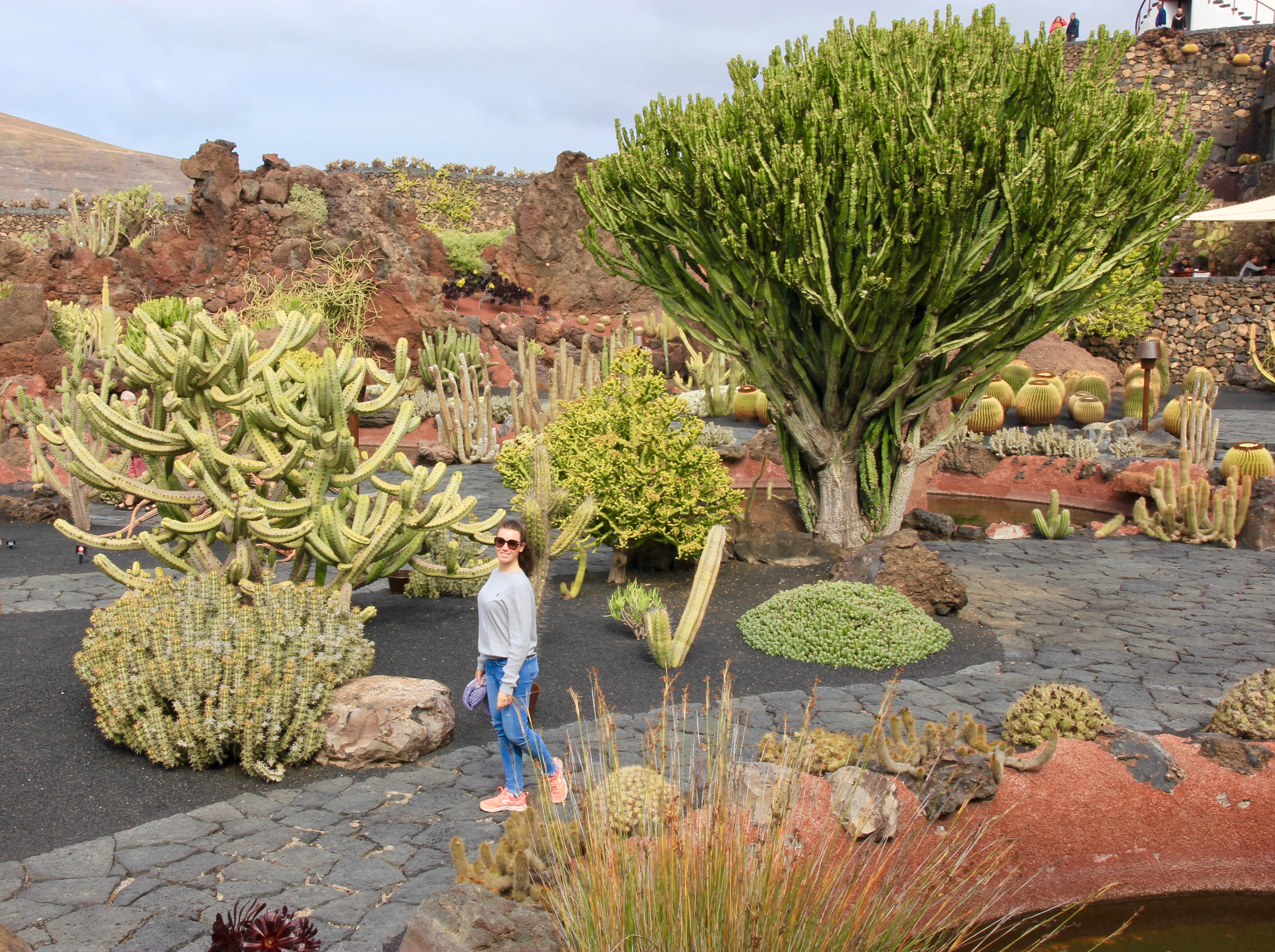 Lanzarote - Manrique