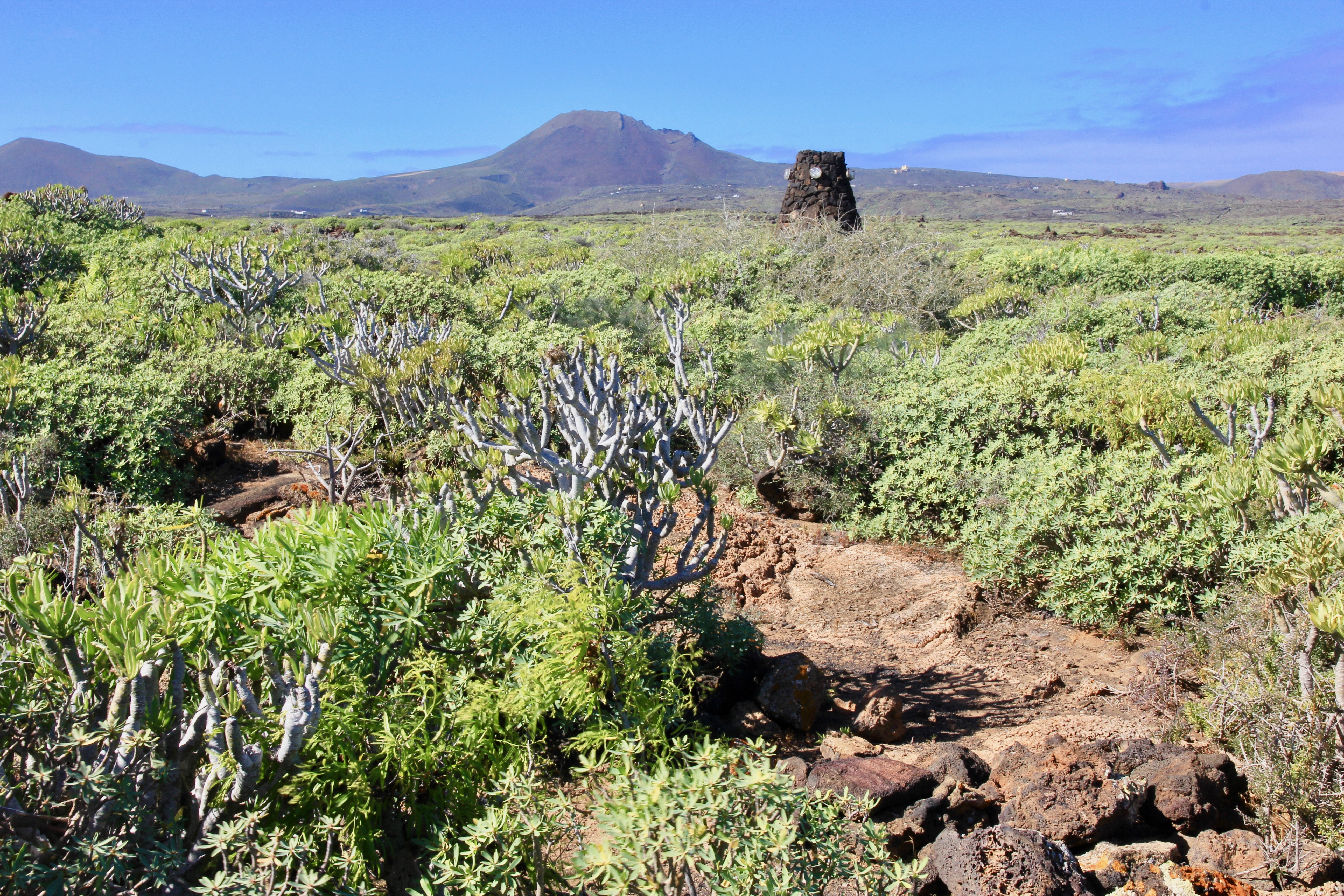 Cosa vedere nel nord di Lanzarote