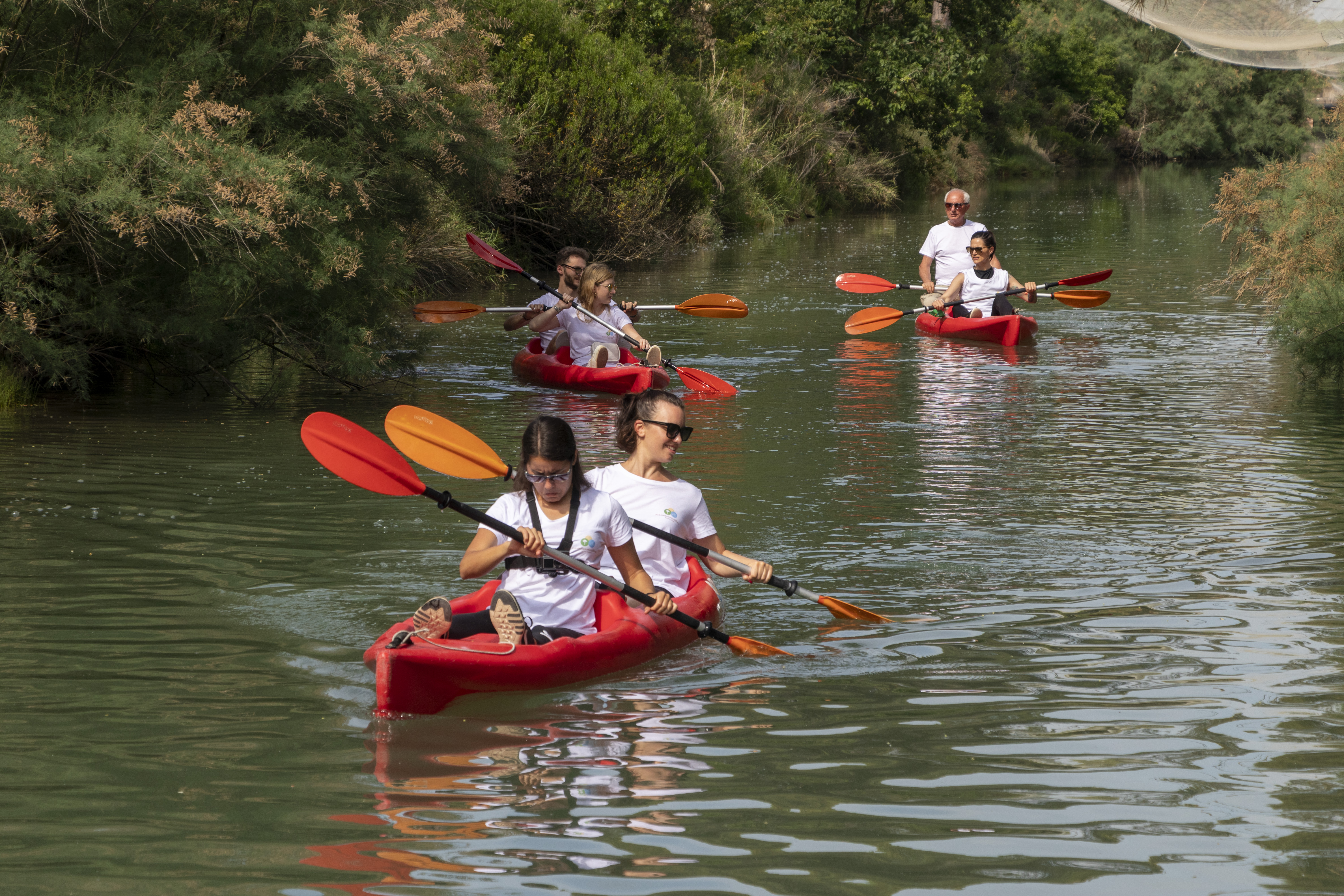 Cosa fare a Milano Marittima - Kayak