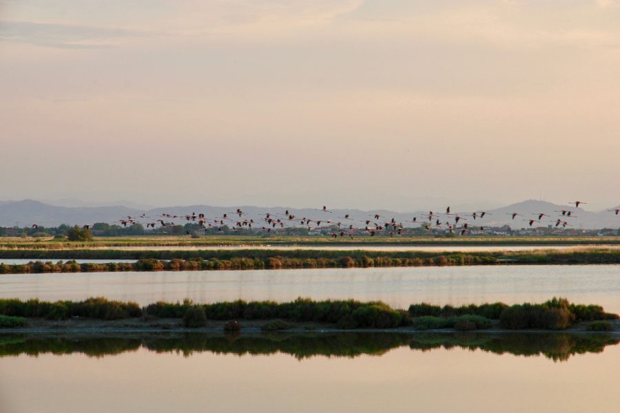 Attività da fare a Milano Marittima