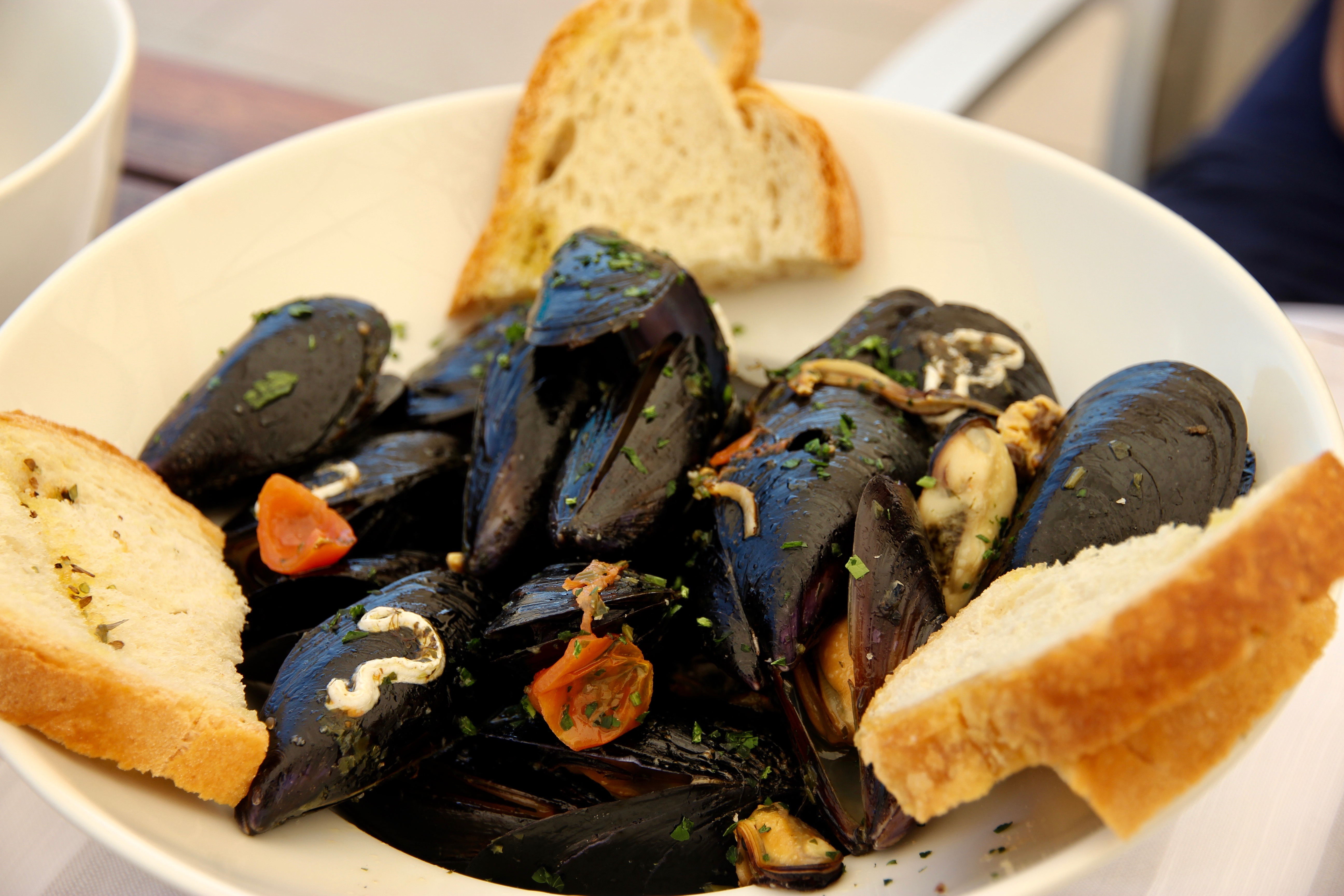 Cozze di Cervia - dove mangiarle