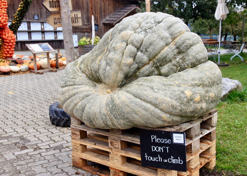 Zucca più pesante del mondo